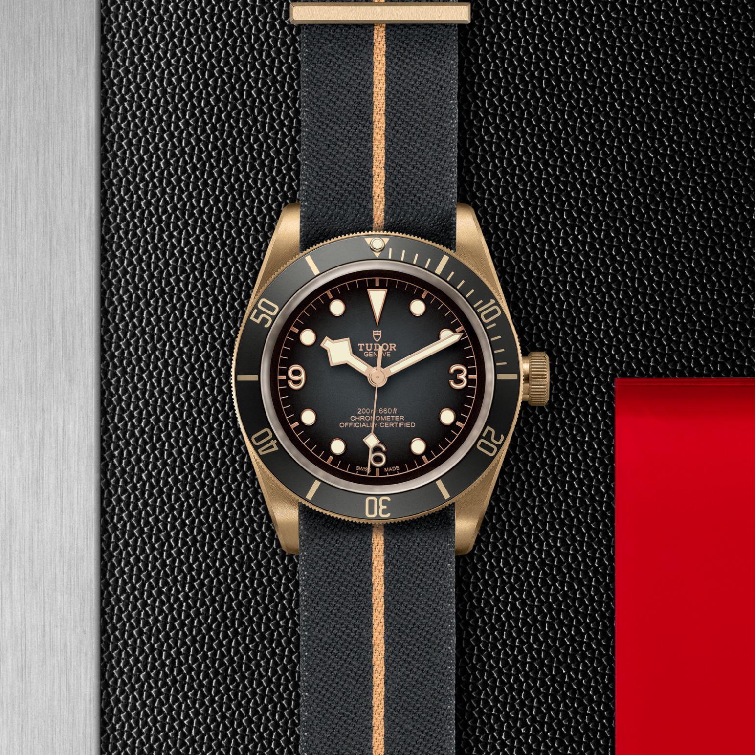 Black Bay Bronze – M79250BA-0002 - Vista superior
