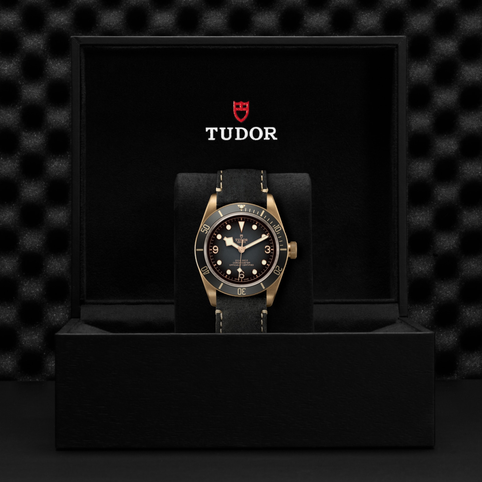 Black Bay Bronze – M79250BA-0001 - Caja de presentación