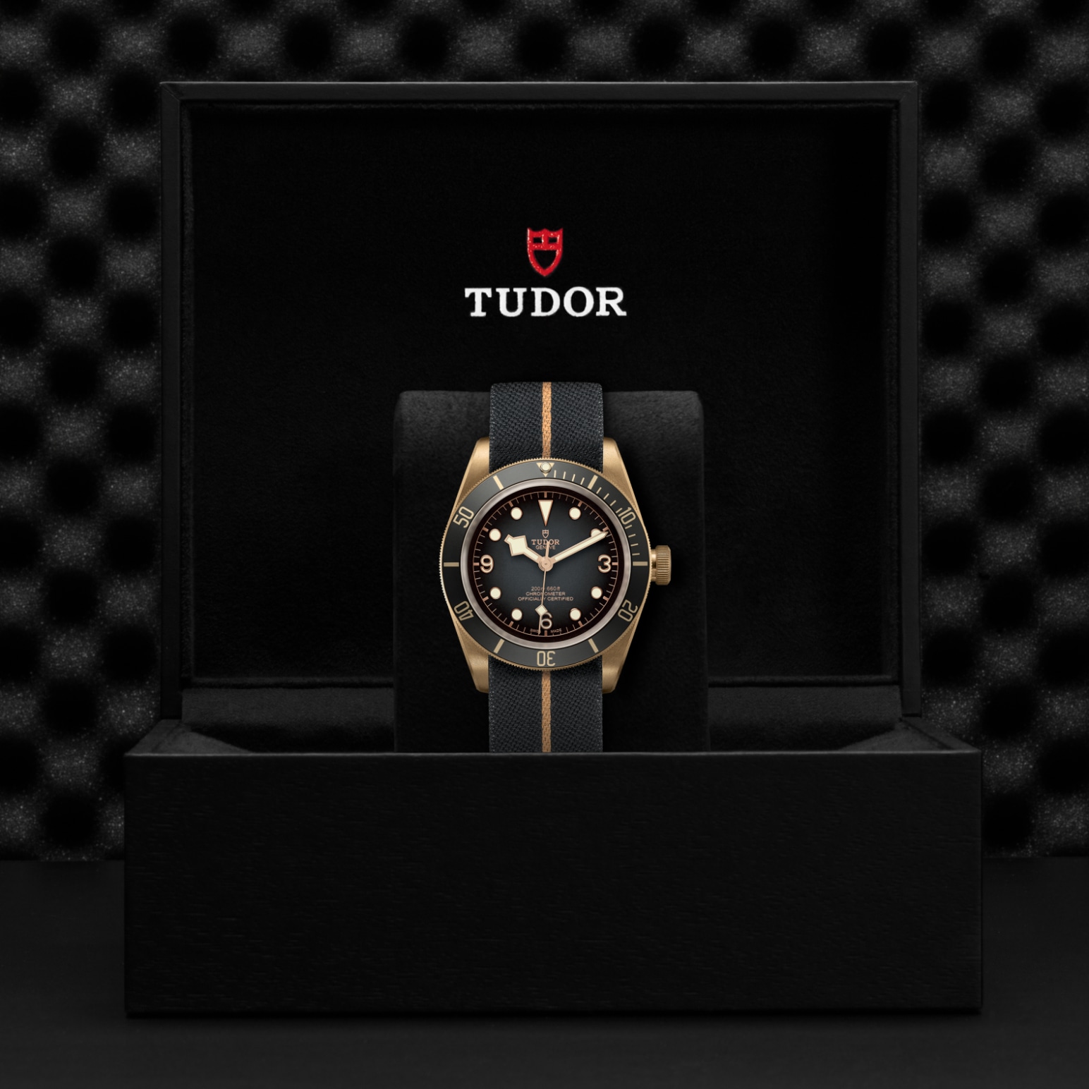 Black Bay Bronze – M79250BA-0002 - Caja de presentación
