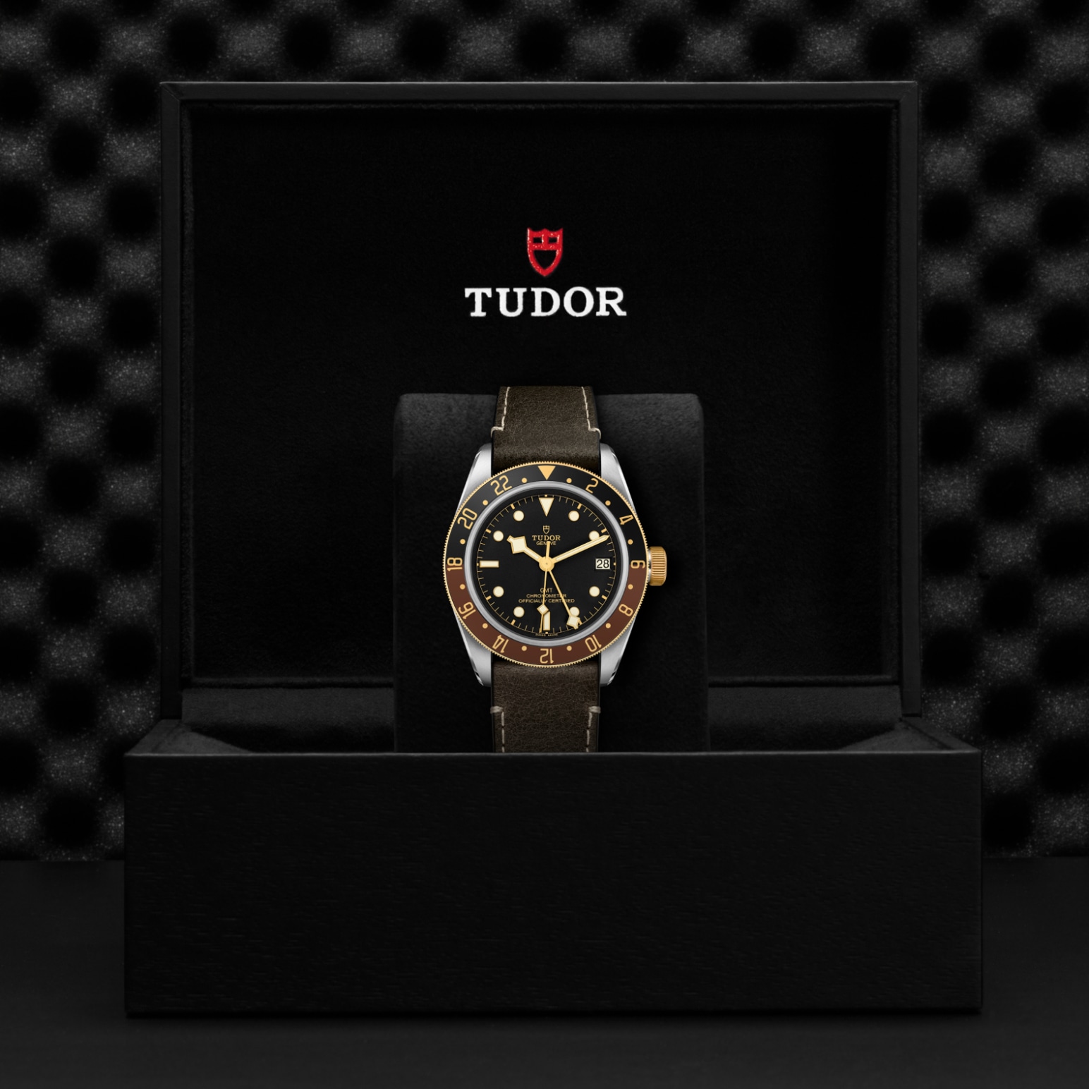 Black Bay GMT S&G – M79833MN-0003 - Caja de presentación