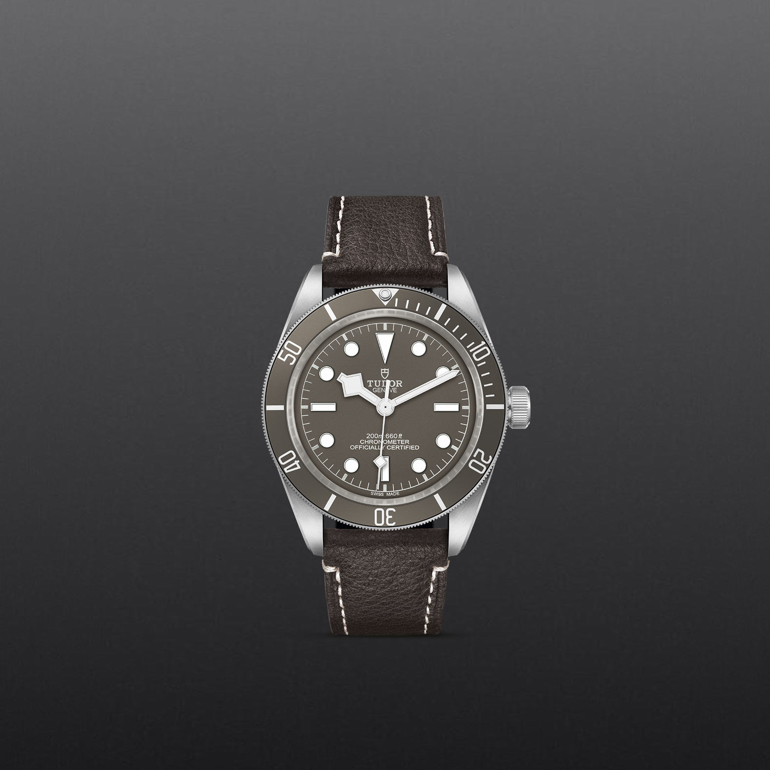 Black Bay 58 925 – M79010SG-0001 - Fondo gris