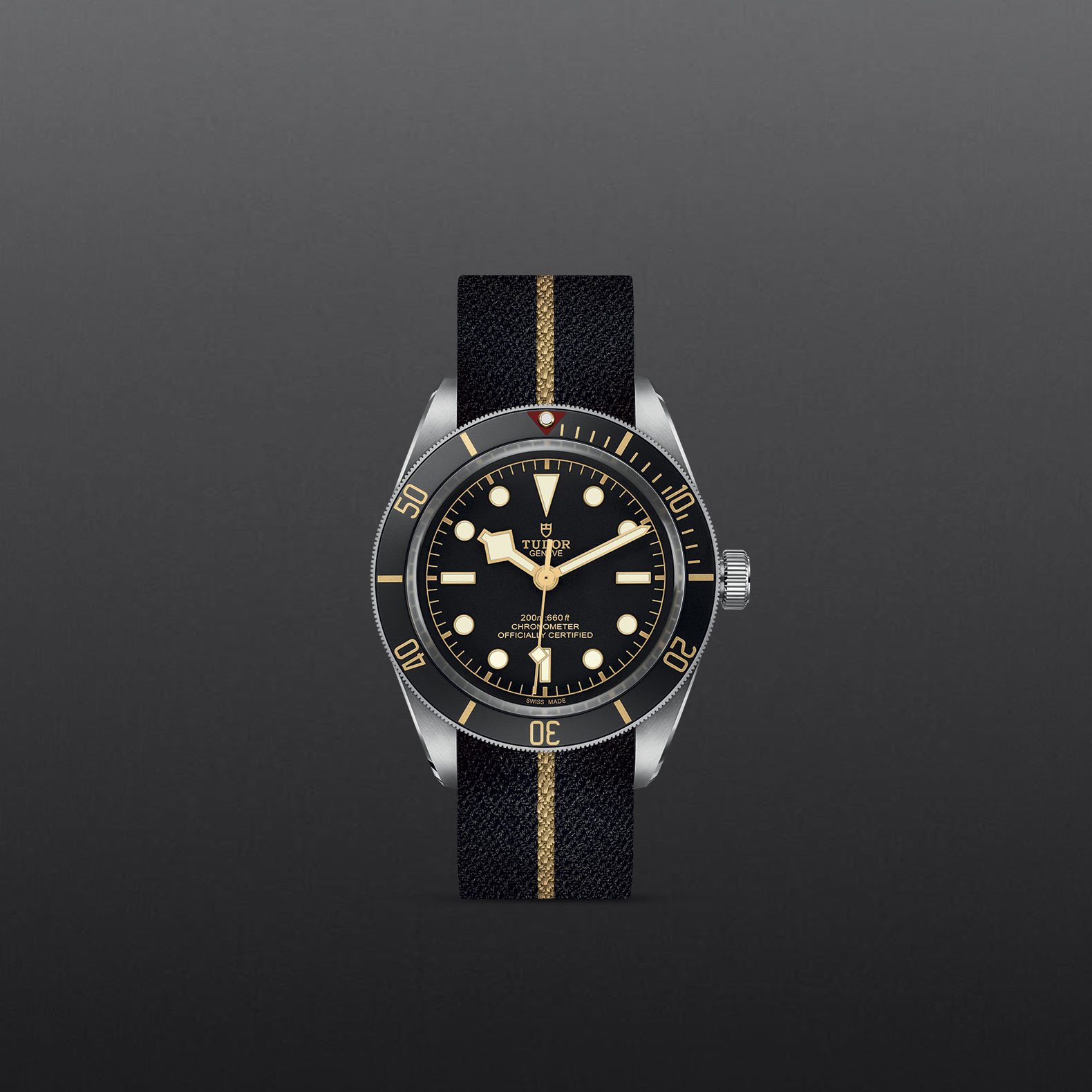 Black Bay 58 – M79030N-0003 - Fondo gris