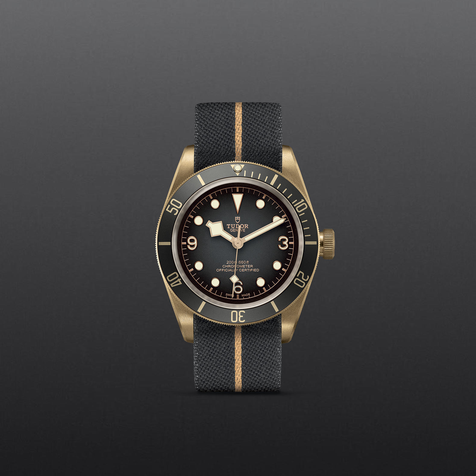 Black Bay Bronze – M79250BA-0002 - Fondo gris