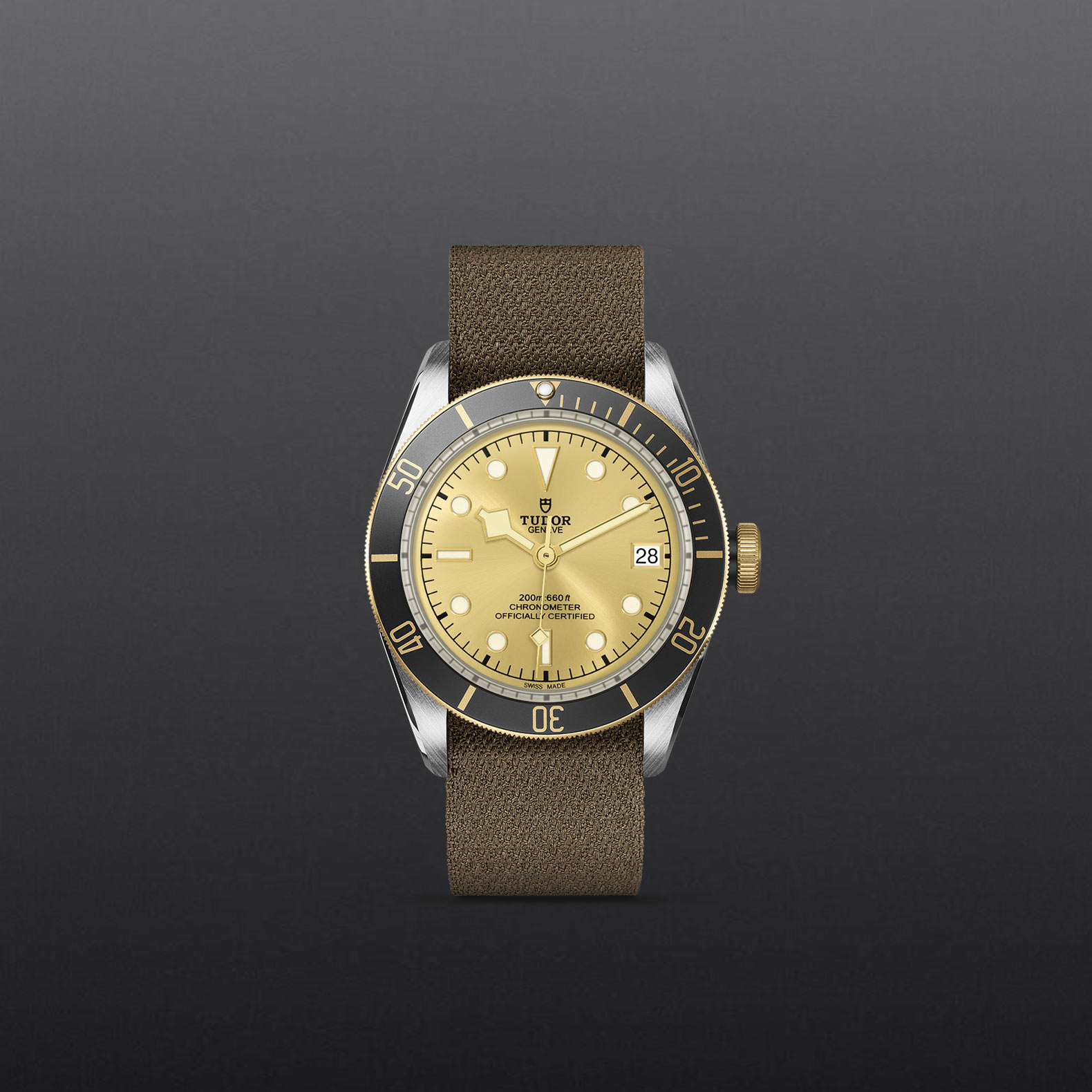 Black Bay S&G – M79733N-0006 - Fondo gris