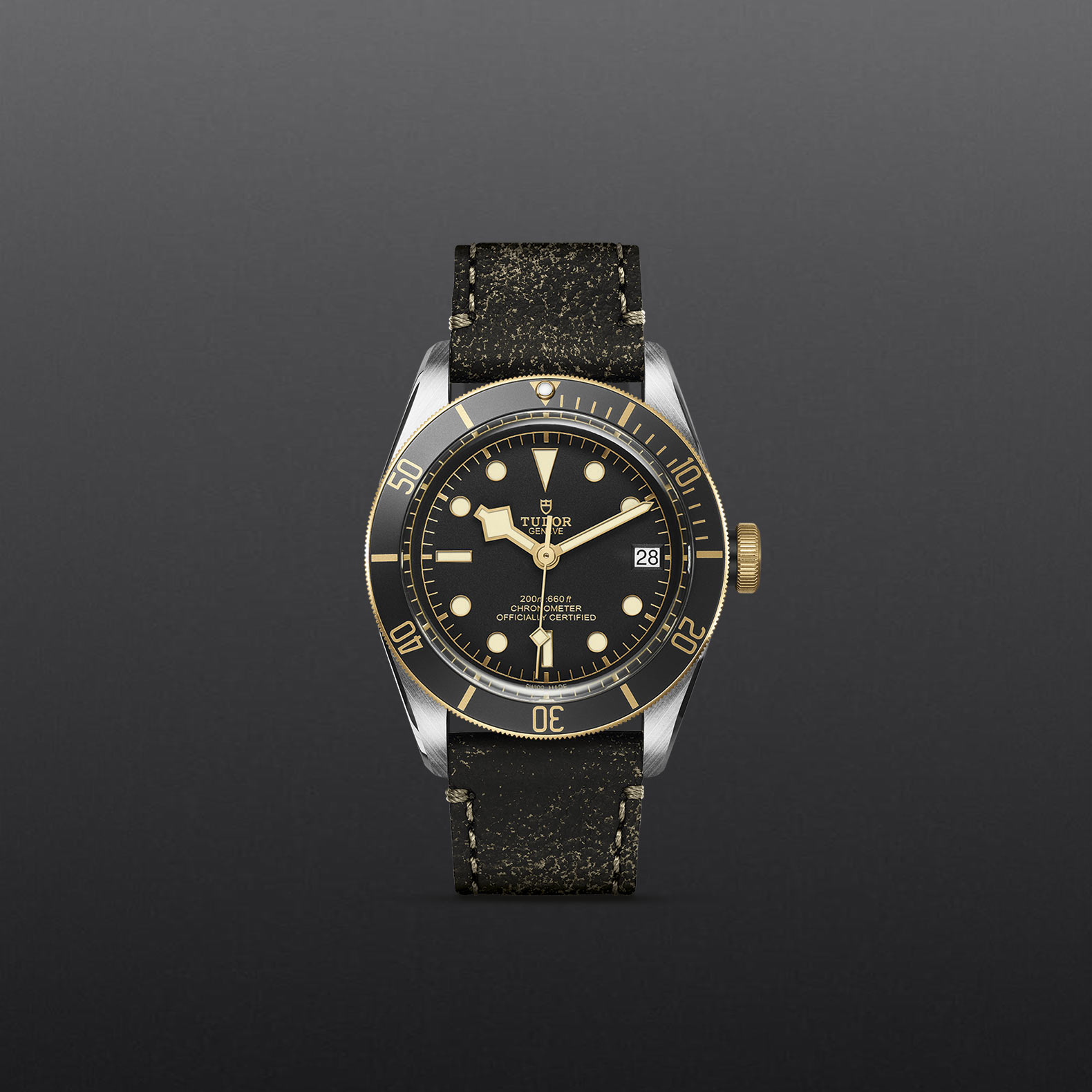 Black Bay S&G – M79733N-0007 - Fondo gris