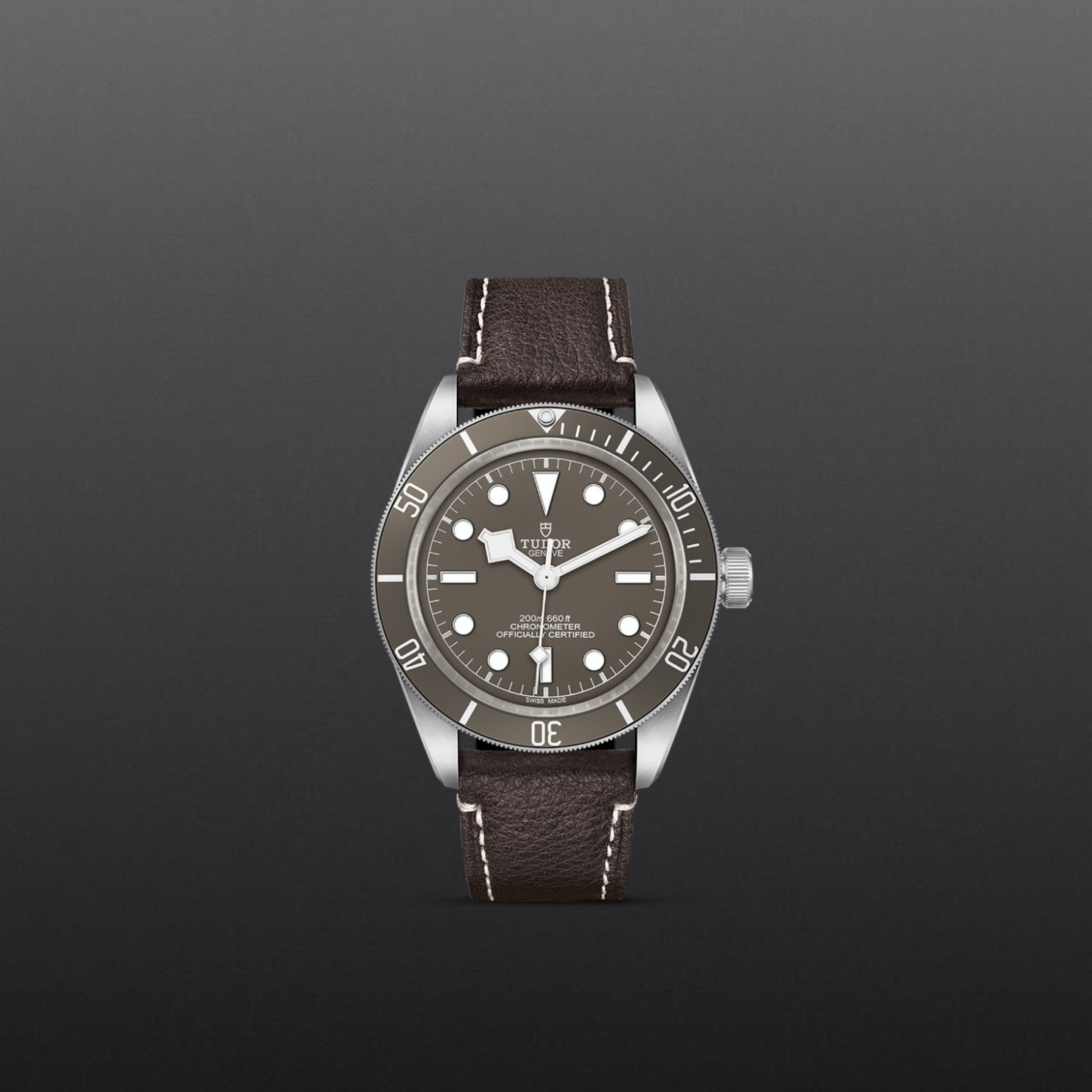 Black Bay 58 925 – M79010SG-0001 - Fondo gris