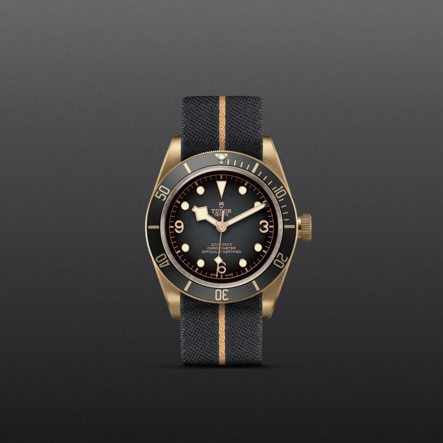 Black Bay Bronze – M79250BA-0002 - Fondo gris