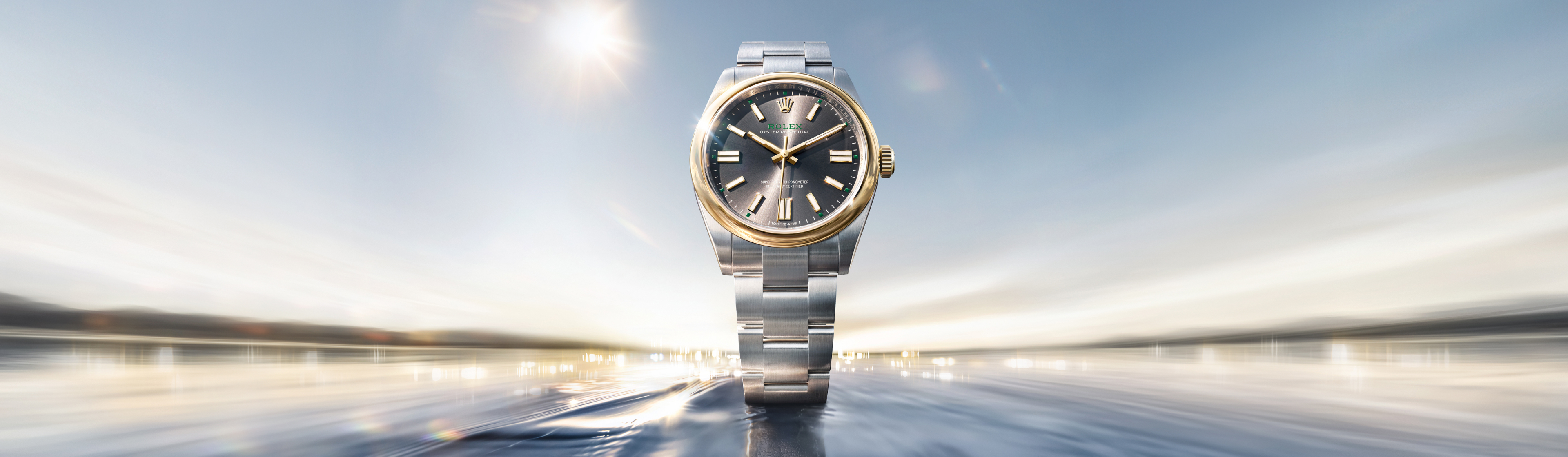 Oyster Perpetual 41 de Rolex